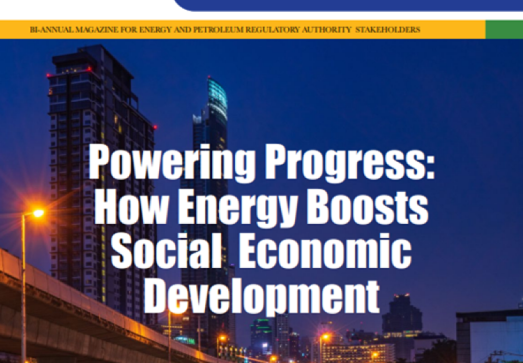 Edition 2: January - June 2025 Energy Scoop